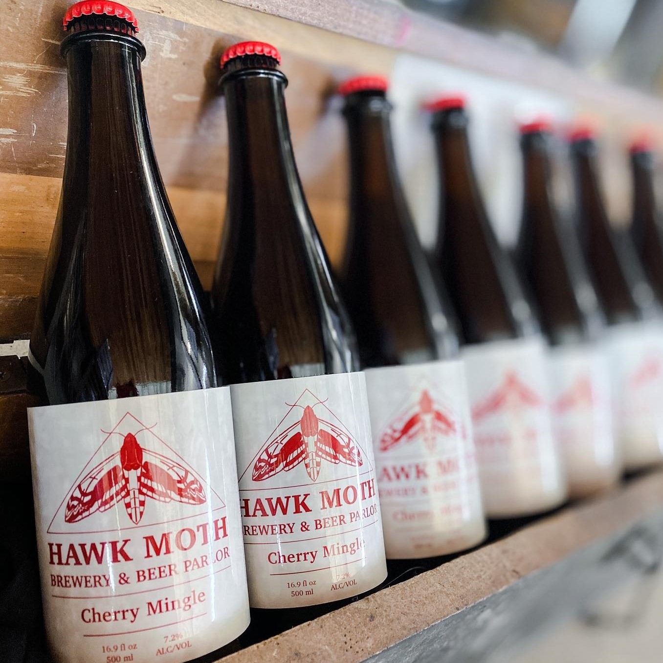 Hawk Moth Brewery Beer