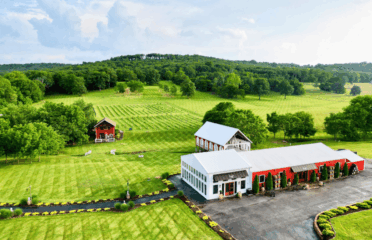 Sassafras Springs Vineyard